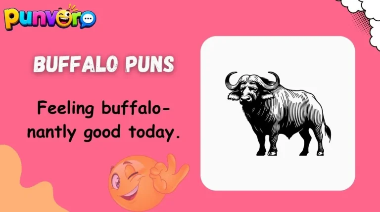 Buffalo Puns