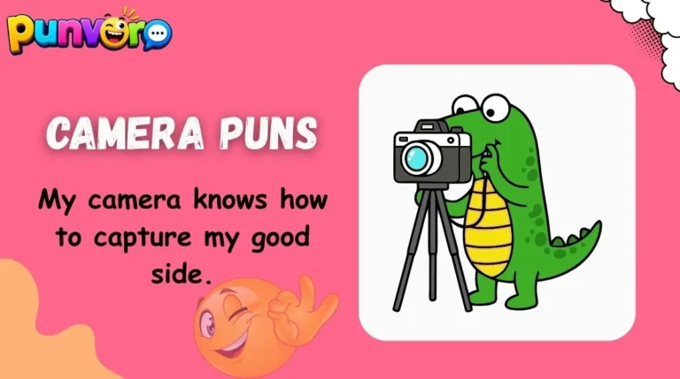 Camera Puns