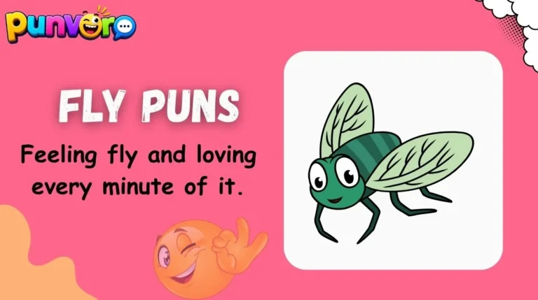Fly Puns