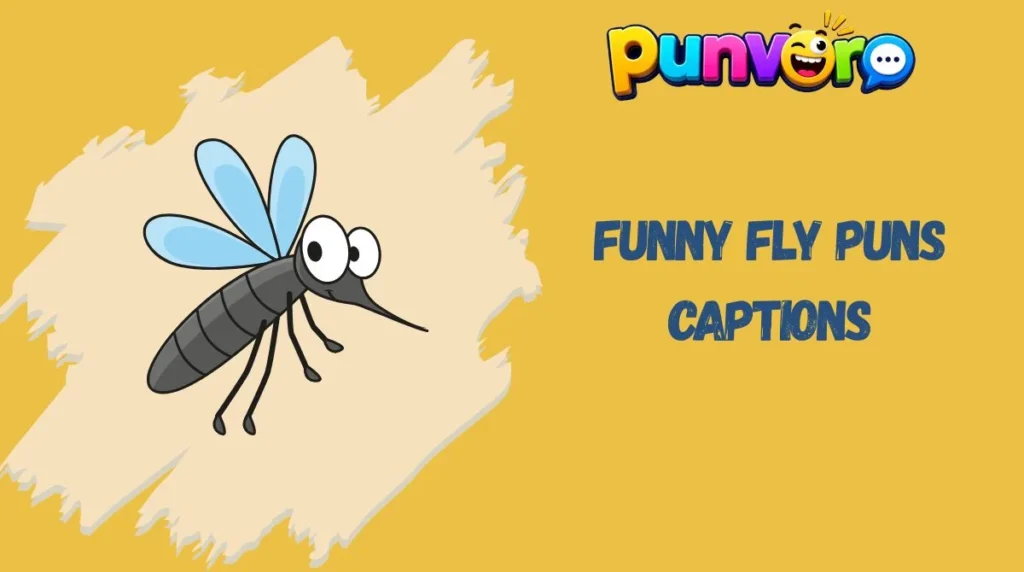 Funny Fly Puns Captions