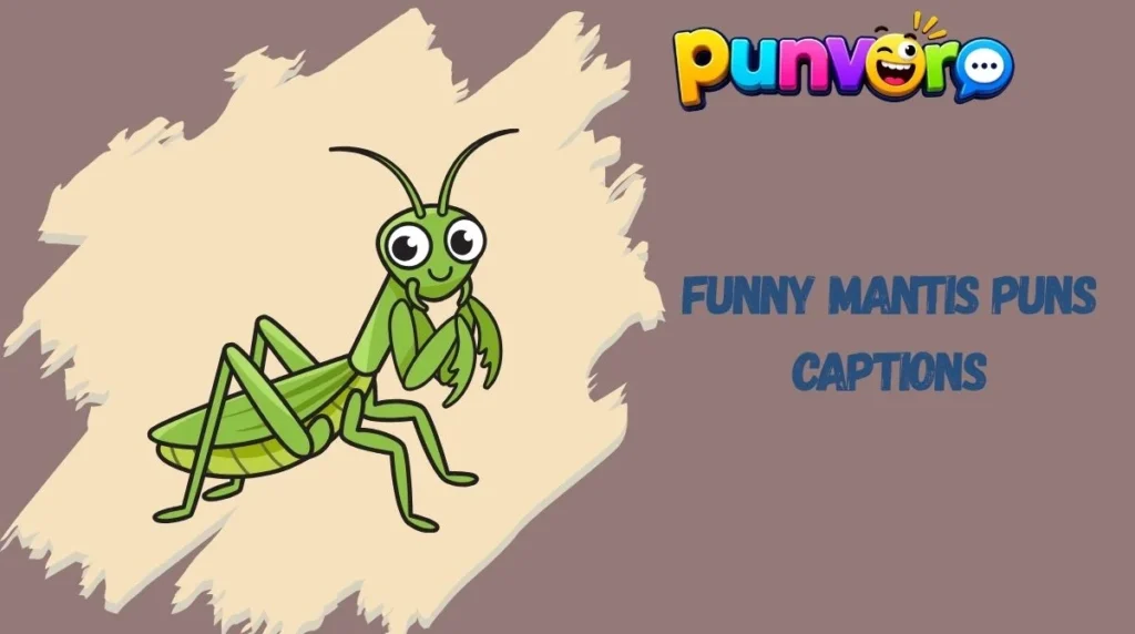 Funny Mantis Puns Captions