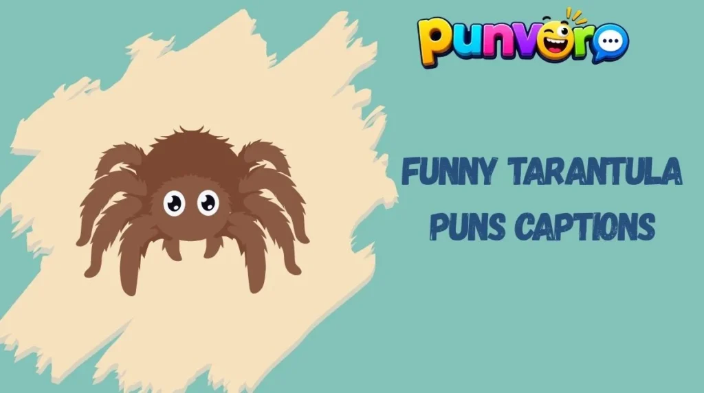 Funny Tarantula Puns Captions
