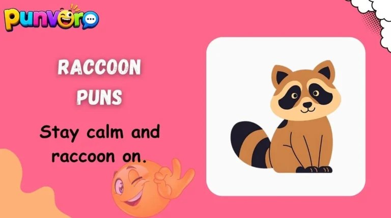 Raccoon Puns