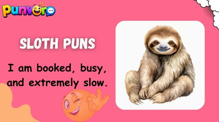 Sloth Puns