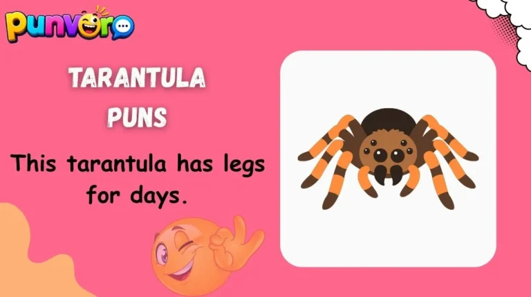 Tarantula Puns