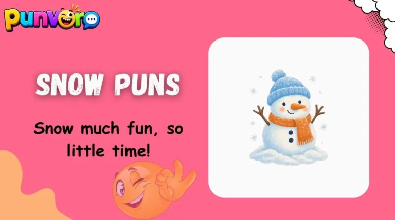 Snow Puns