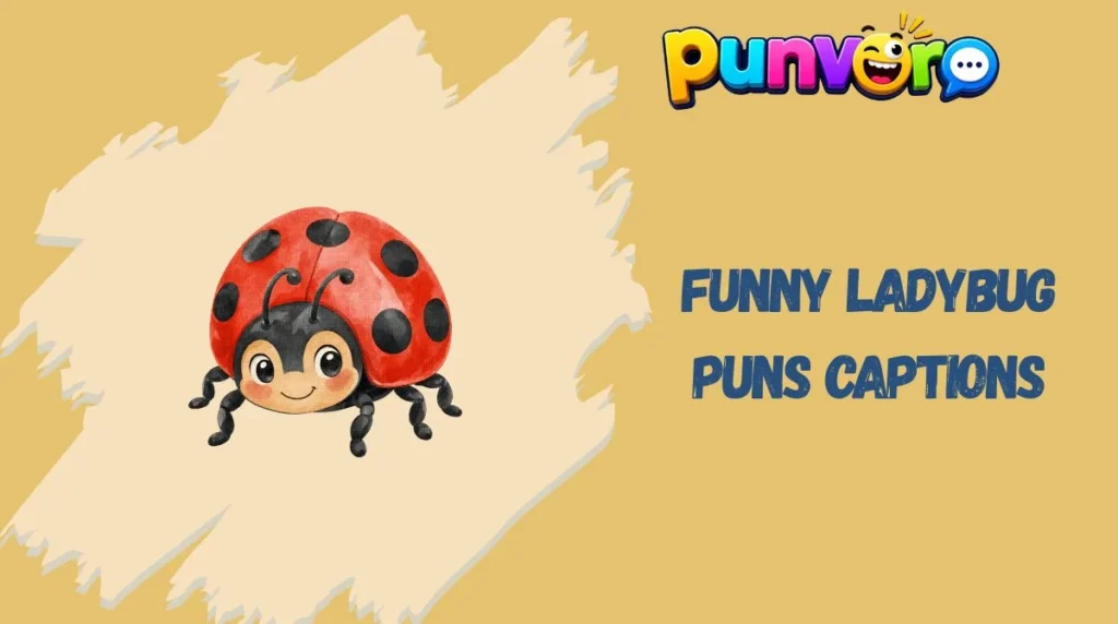 Funny Ladybug Puns Captions