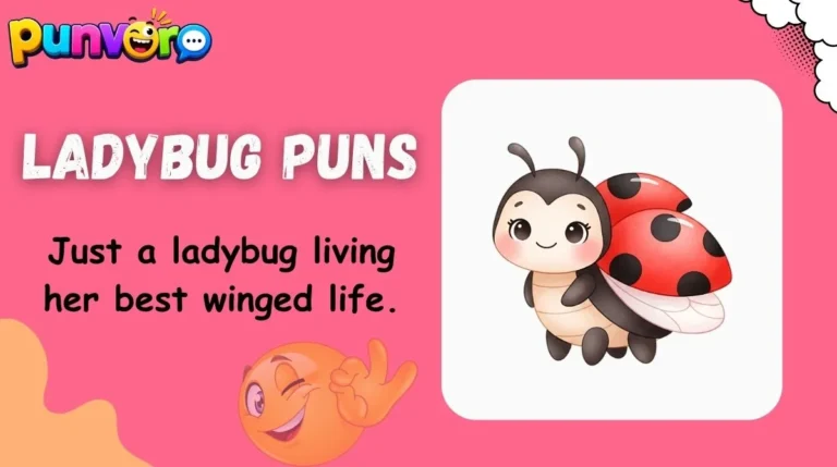 Ladybug Puns