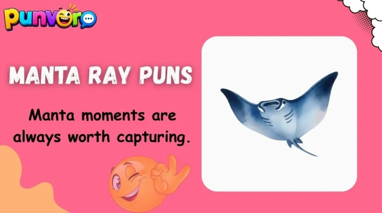 Manta Ray Puns