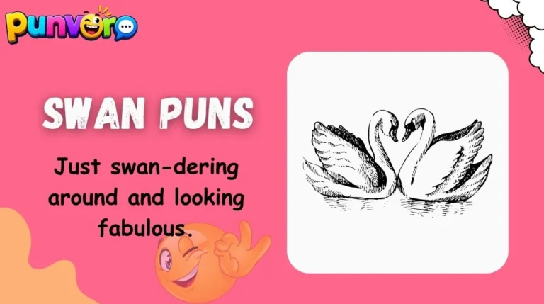 Swan Puns