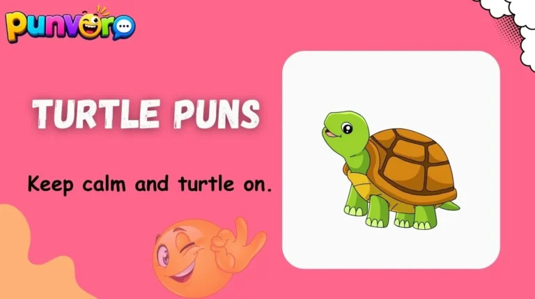 Turtle Puns