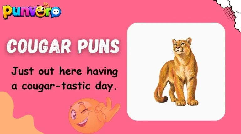 Cougar Puns